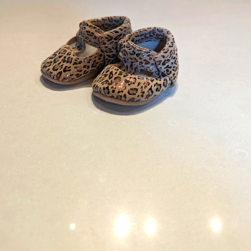 NIB Bird Rock Baby Mary Janes